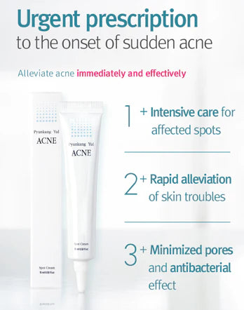 [PYUNKANG YUL] ACNE Spot Cream 15ml